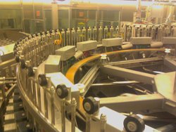 Aseptic Filling Area