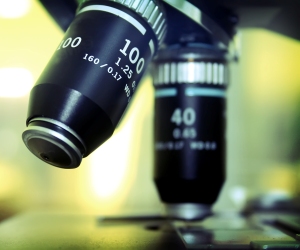 Microscope