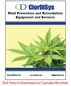 Cannabis Brochure