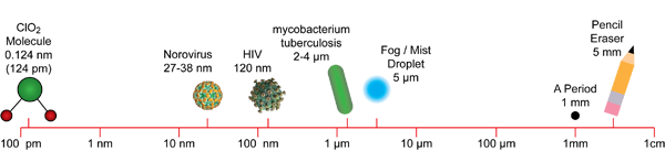 Microorganism Size Chart